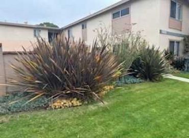 MLS# OC25077453
